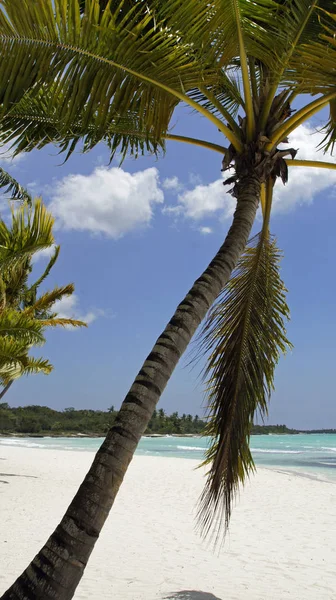 Bela Paisagem Tropical Praia — Fotografia de Stock