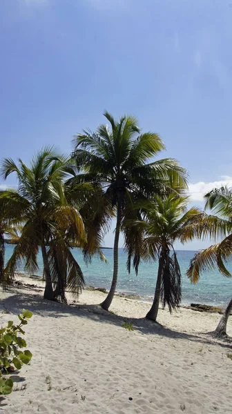 Vista Una Hermosa Costa Del Mar — Foto de Stock