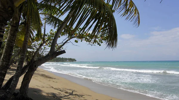 Picturesque View Beautiful Seashore — Stock Photo, Image