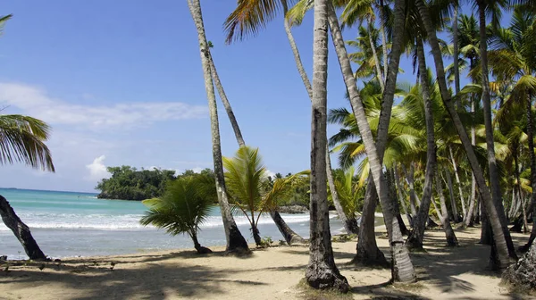 Hermoso Paisaje Playa Tropical —  Fotos de Stock