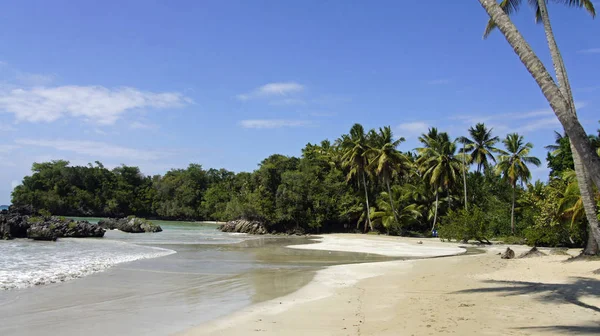 Playa Tropical Con Palmeras Cielo Azul —  Fotos de Stock