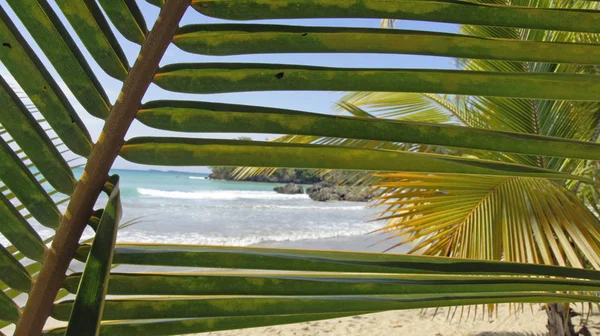 Vista Uma Bela Costa Marítima — Fotografia de Stock