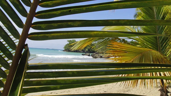 Vista Una Hermosa Costa Del Mar — Foto de Stock