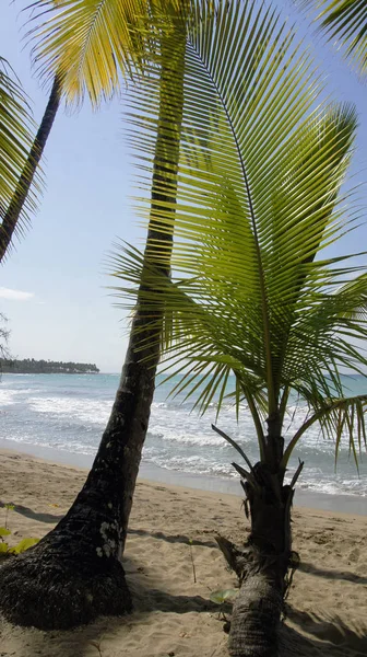 Vue Sur Une Belle Côte Mer — Photo