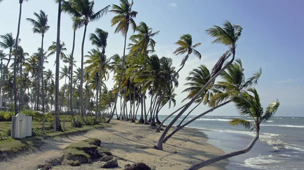 Vista Uma Bela Costa Marítima — Fotografia de Stock