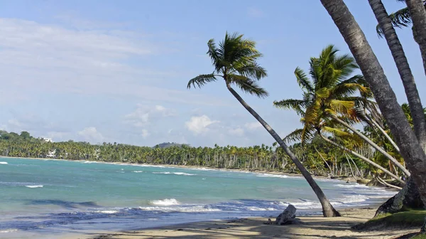 Hermoso Paisaje Playa Tropical —  Fotos de Stock