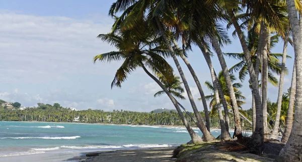 Vacker Utsikt Över Stranden — Stockfoto