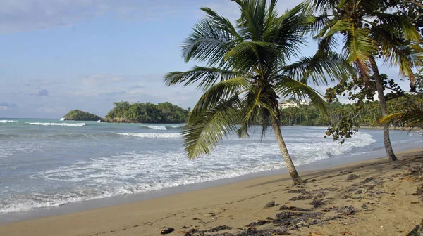 Тропический Пляж Пальмами Голубым Небом — стоковое фото