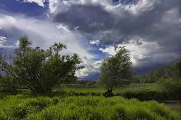 Vista Panorámica Del Campo Enfoque Selectivo —  Fotos de Stock