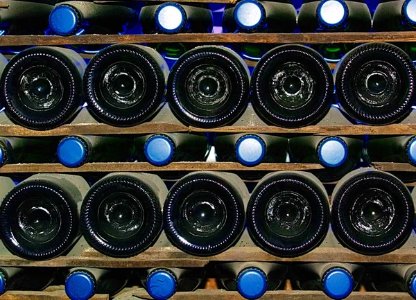 地下室でのワインのボトルの列 — ストック写真