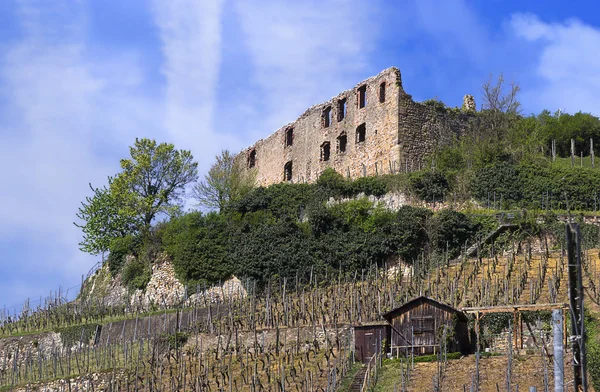 Castillo Staufen Con Viña — Foto de Stock