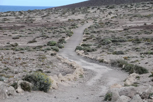 Utazási Koncepció Háttér Útvonal Vulkáni Sivatagban Tenerife Canaty Islands Spanyolország — Stock Fotó