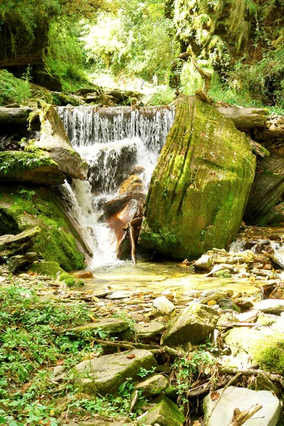 Water Stroom Beweging Stenen Achtergrond Nepal Himalaya Bos — Stockfoto