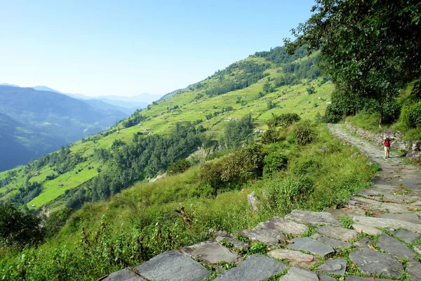 Chodce Himálajských Horách Annapurna Zachování Regionu Nepál — Stock fotografie