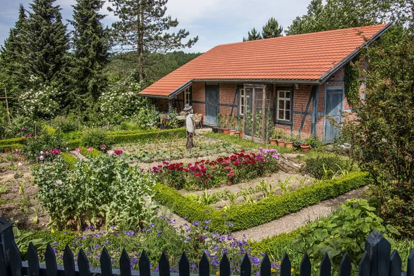 Casa Campo Con Jardín Vegetal —  Fotos de Stock