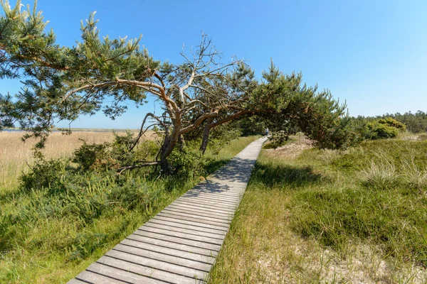 Vacker Utsikt Över Naturen Landskap — Stockfoto