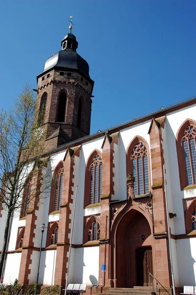 Saint George Largest Late Gothic Church Palatinate — Stock Photo, Image
