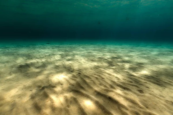 Великолепный Подводный Мир Красного Моря — стоковое фото