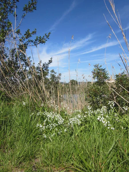 Albufera Ciel Peut Chuchoter — Photo