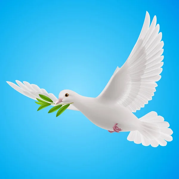 青の背景に洪水後の緑の小枝で飛ぶ平和の鳩 — ストック写真
