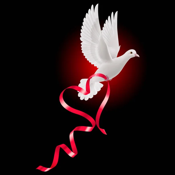 白い鳩で赤いリボンで黒の背景 — ストック写真