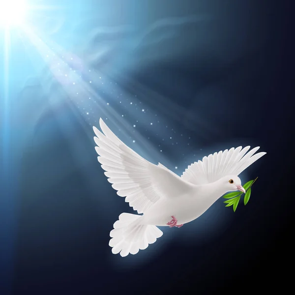 Galamb Béke Repül Egy Zöld Után Árvíz Sötét Háttér — Stock Fotó