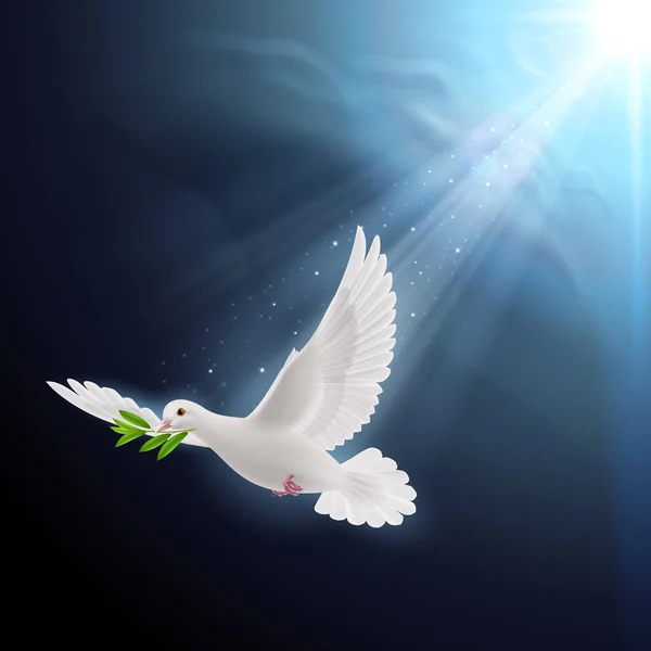 Dove Peace Flying Green Twig Flood — Stock Photo, Image