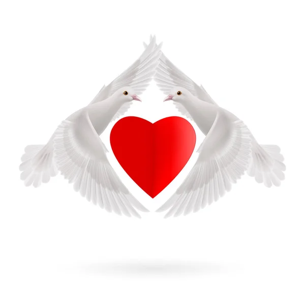两只白鸽之间的红心 — 图库照片