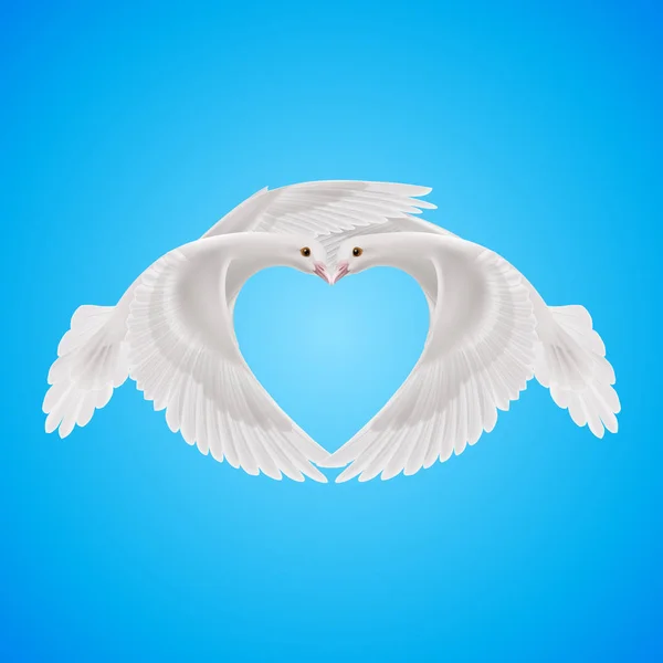 Two White Doves Makes Form Shape Heart — Stock Photo, Image