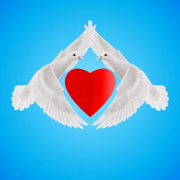 Dwa Białe Gołębie Tworzą Kształt Skrzydeł Czerwonego Serca — Zdjęcie stockowe