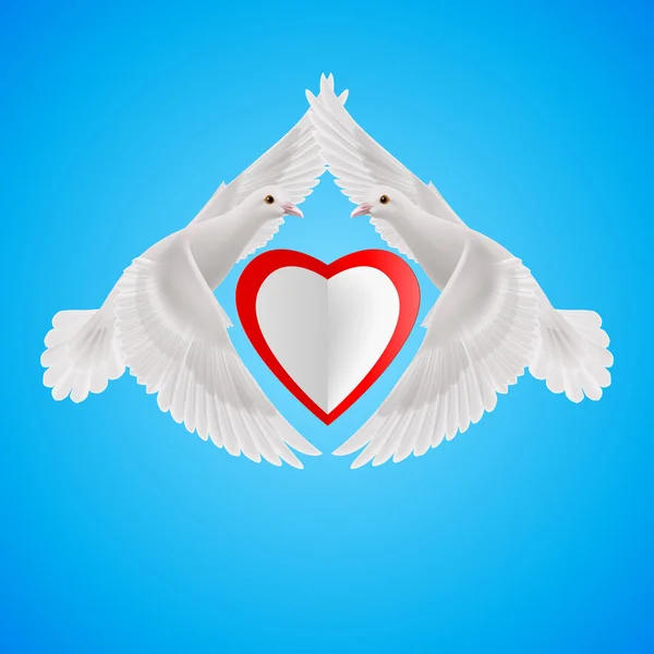 Białe Gołębie Tworzą Skrzydła Serca — Zdjęcie stockowe