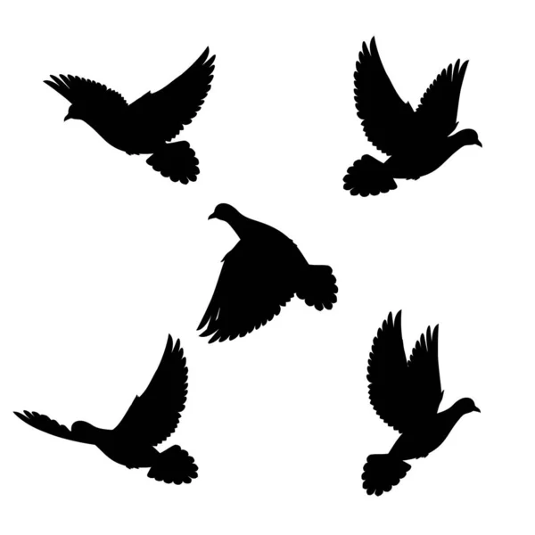 Fünf Silhouettenhafte Schwarze Tauben Fliegen All — Stockfoto