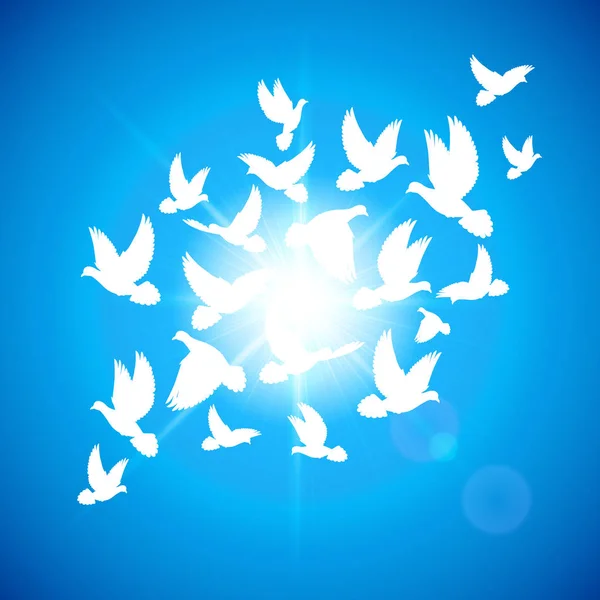 Many White Dove Fly Blue Sky — Stock Photo, Image