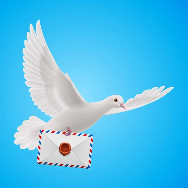 Pigeon Fly Mail Blue Sky — Stock Photo, Image