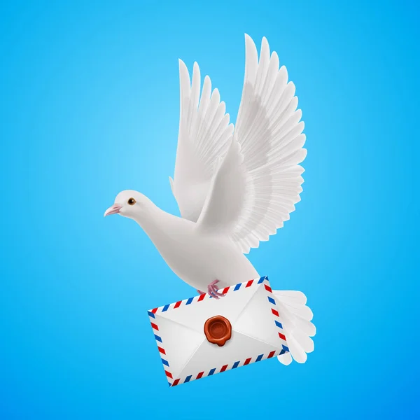 Pigeon Fly Mail Blue Sky — Stock Photo, Image