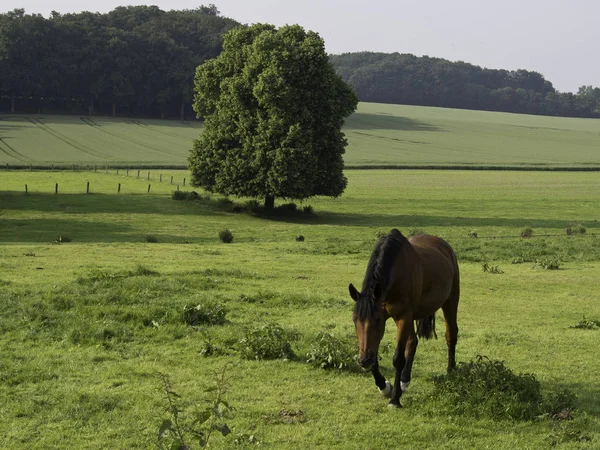 Malebný Pohled Krajinu Přírody — Stock fotografie