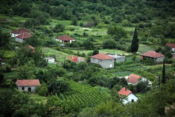 Восточные Восточные Балканские Montenegro Skadar Lake Landscape Godinje Culture Mountain — стоковое фото