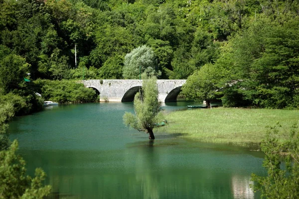 Europa Europa Orientale Balcani Montenegro Skadar Lago Paesaggio Fiume Crnojevica — Foto Stock