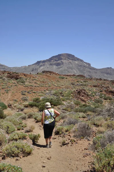 Tide Ulusal Parkı Nda Yürüyüş Tenerife — Stok fotoğraf