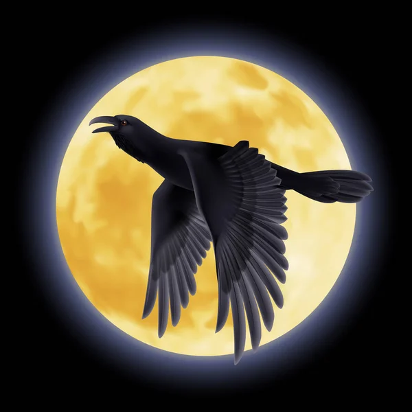 Corbeau Noir Élève Sur Fond Une Nuit Lune — Photo