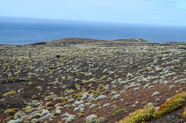 Öken Landskap Hierro Kanarieöarna Spanien — Stockfoto