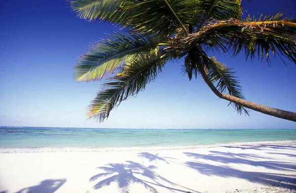Пляж Мечты Bwejuu Востоке Острова Занзибар Индийском Океане Танзании Африке — стоковое фото