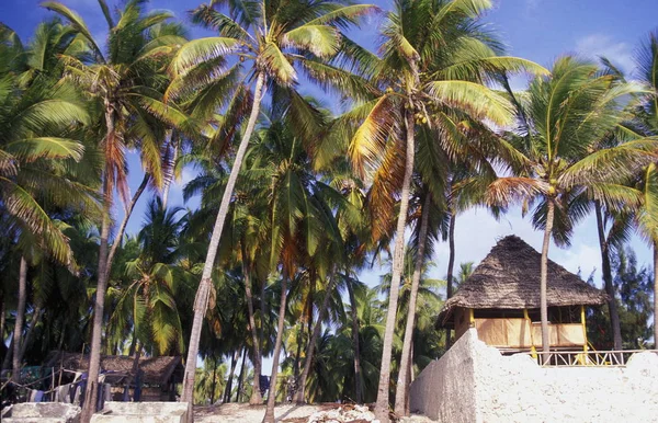 Drömstranden Michamvi Chwaka Bay Östkusten Zanzibar Som Tillhör Tanzania — Stockfoto