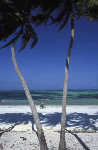 Snová Pláž Michamvi Zátoce Chwaka Východním Pobřeží Ostrova Zanzibar Který — Stock fotografie