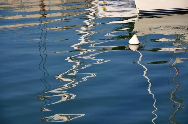 Weißer Schwan Auf Dem See — Stockfoto