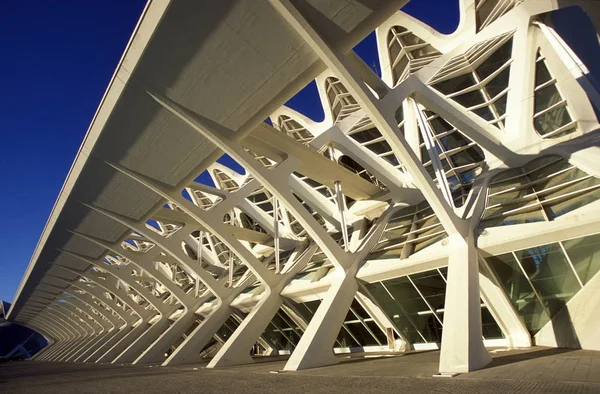 Staden Konst Och Vetenskap Den Nya Staden Valencia Spanien — Stockfoto