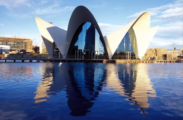 Oceanografic Det Moderna Distriktet Valencia Spanien Europa — Stockfoto