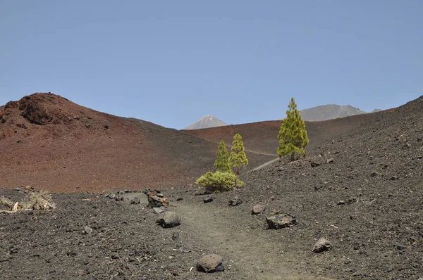 Tenerife Más Grande Las Islas Canarias Frente África Occidental — Foto de Stock