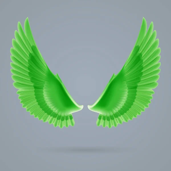 Вдохновляющие Крылья Зеленого Цвета Нарисованные Отдельно Сером Фоне — стоковое фото