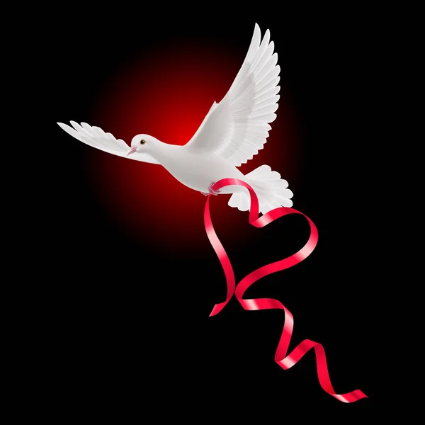 白い鳩に赤いリボンと暗い背景 — ストック写真